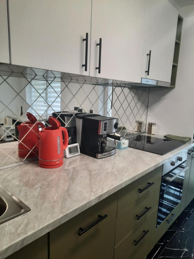 Apartament Coco Baia Mare Dış mekan fotoğraf
