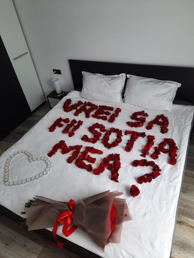 Apartament Coco Baia Mare Dış mekan fotoğraf